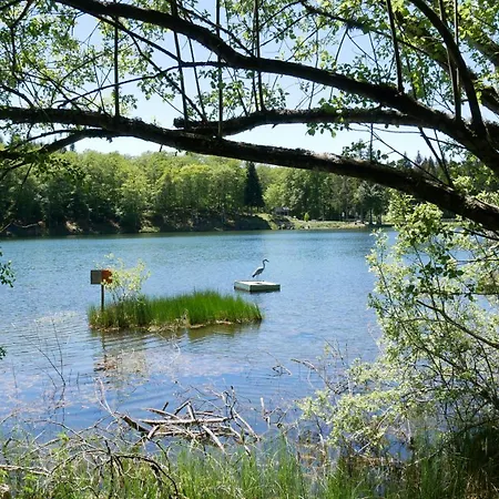 La Fontaine Salee-home Shanti-chastreix * Chastreix