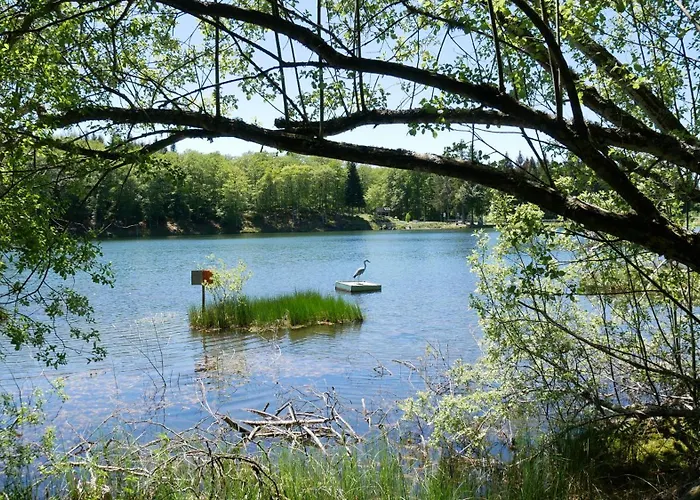 La Fontaine Salée-home Shanti-chastreix * Chastreix