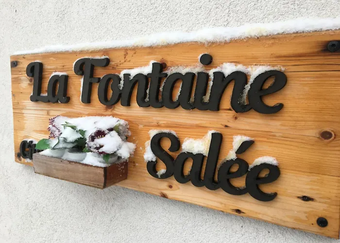 La Fontaine Salée-home Shanti-chastreix Chastreix